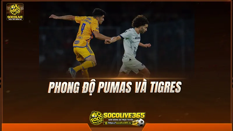 Phong độ Pumas và Tigres được Socolive TV tổng hợp